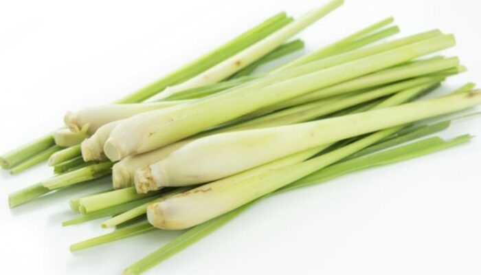 Tak Hanya Jadi Bahan Penyedap Makanan, Ini Tujuh Manfaat Serai Bagi Kesehatan!