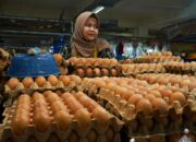 Bersama Enam Komoditas Lainnya, Harga Telur Ayam Kampung di Padang Panjang Turun