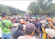 Lima Petani Pejuang Nagari Kapa Kembali Ditangkap