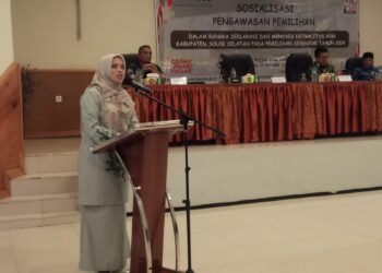 Komisioner Bawaslu, Nila Puspita sosialisasikan pengawasan netralitas ASN, Kamis (17/10).