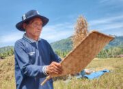 Di Asam Kumbang Gantiang Bayang, Petani Bisa Bersawah dengan Pokok Murah
