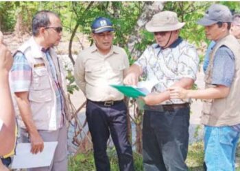 KADIS BMCKTR Sumbar, Era Sukma Munaf bersama jajaran meninjau kondisi ruas jalan Payakumbuh-Sitangkai, beberapa waktu lalu. IST