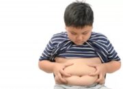 Kegemukan Remaja Ternyata Akibat Pola Makan dan Mageran, Simak Penjelasan Ini!