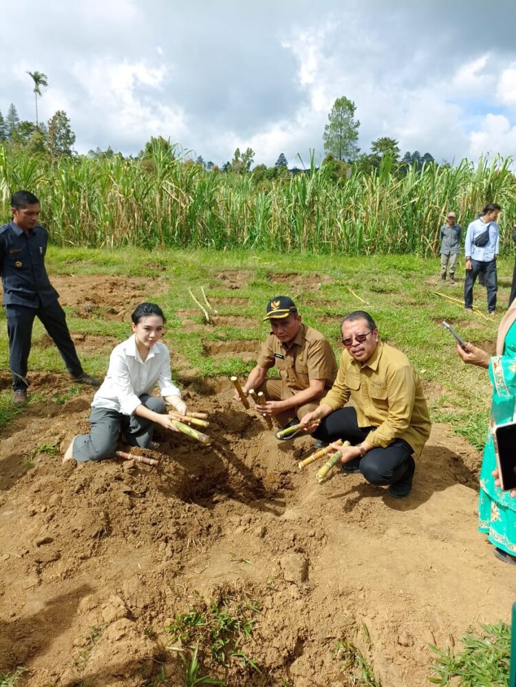 Petani tebu di Nagari Lawang Kecamatan Matur mengikuti penyuluhan yang diadakan Koperasi Kana dan Fakultas Pertanian Universitas Gadjah Mada (UGM) di aula kantor walnag setempat, Selasa (29/10).IST