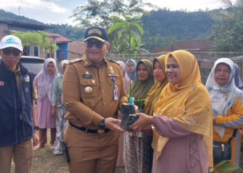 Pemko Padang Jaga Ketahanan Pangan Melalui KRPL
