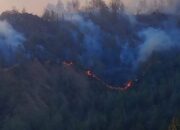 95 Persen Karhutla Kawasan Hutan BTNG Rinjani Berhasil Dipadamkan
