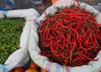 Harga Cabai di Solok Selatan Naik di Akhir November