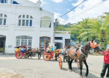KEHADIRAN wisata berkuda dengan Kudo Bendi di Kawasan Kota Tua Padang. IST