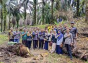 BPOM Sumbar dan Payakumbuh Intip Pembuatan Gula Merah dari Nira Sawit di Pasbar