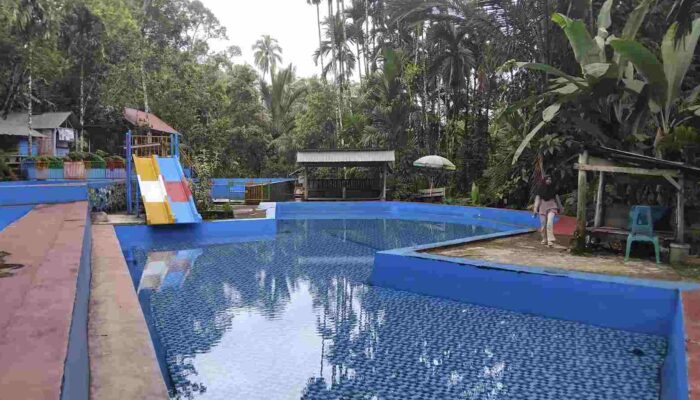 Kolam Renang Pincuran Maruok, Surga Tersembunyi di Kampung Dalam