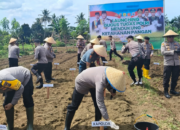 Pemerintah Pusat Perkuat Sinkronisasi Swasembada Pangan