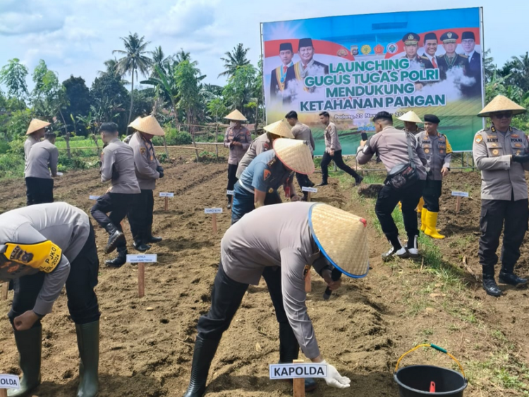 Kemendagri mendorong sinkronisasi dan akselerasi antara pemerintah pusat dan daerah untuk mewujudkan swasembada pangan.