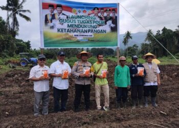 Ketahanan Pangan Nasional