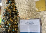 Pohon Natal Unik, Hotel Four Points by Sheraton Bali, Ungasan Hadirkan Perayaan Natal Berbeda