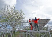 Kembali ke Flores Timur, Kepala BNPB Tinjau Pembangunan Huntara dan Cek Lokasi Huntap