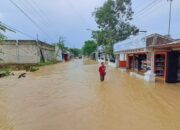Sempat Banjir, Genangan Sejumlah Desa di Tuban Telah Surut
