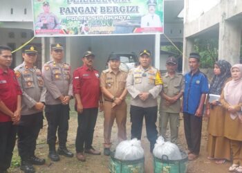 Nagari Dilam Salurkan 45 Ribu Bibit Ikan untuk Cegah Stunting