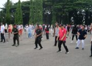 Konser Band TIP X dan Artis Minang Rayola akan Meriahkan HUT Dharmasraya