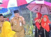 Kanagarian Limau Manis Lestarikan Adat Lewat Malamang