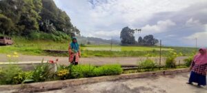 Anggota DPRD memberikan bantuan bibit jeruk manis sebanyak 400 batang kepada Kelompok Tani Sitinjau Jaya Nagari Batipuah.