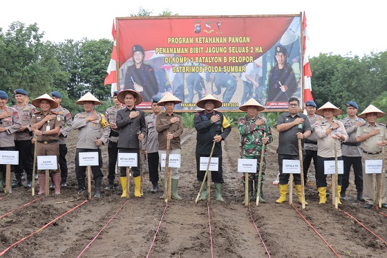 Kapolres Pasbar AKBP Agung Tribawanto, mendukung program penanaman benih jagung di lahan pertanian seluas dua hektar oleh Dansat Brimob Polda