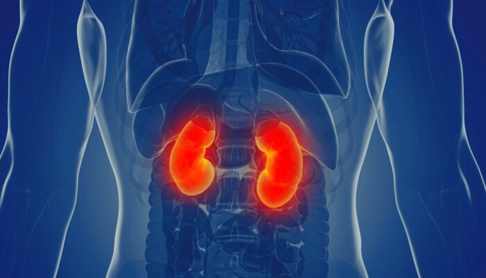 Waspadai Beberapa Gejala Awal Gagal Ginjal