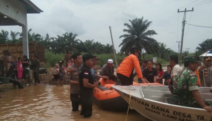 Selama Tahun 2024, Kerugian Bencana di Pasaman Barat Capai Rp3,2 M