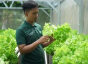 Sharp Hydro Heroes Sukses Ciptakan Petani Muda Berkelanjutan