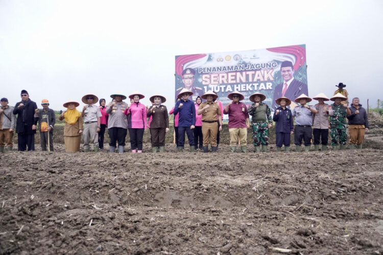 Kegiatan penanaman serentak satu juta hektare jagung di Kelurahan Ganting, Kecamatan Padang Panjang Timur. IST