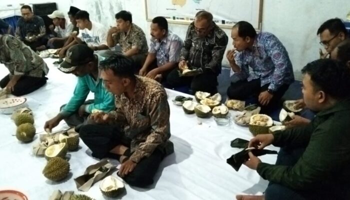 Promosikan Buah Lokal, Warga Gunung Padang Alai Gelar Pesta Makan Durian Basamo
