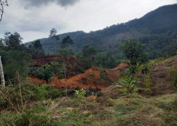 Konflik Lahan di Nagari Harau: Dugaan Permainan Mafia Tanah Meningkatkan Ketegangan