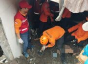 Tanah Longsor Telan Delapan Korban Jiwa di Pulau Dewata