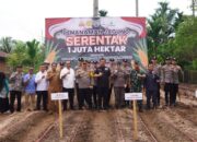 Pemkab Dharmasraya Perkuat Ketahanan Pangan Lewat Penanaman Jagung 1 Juta Hektare