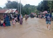 BNPB Rilis Perkembangan Situasi dan Penanganan Bencana Tanggal 23 Januari 2025