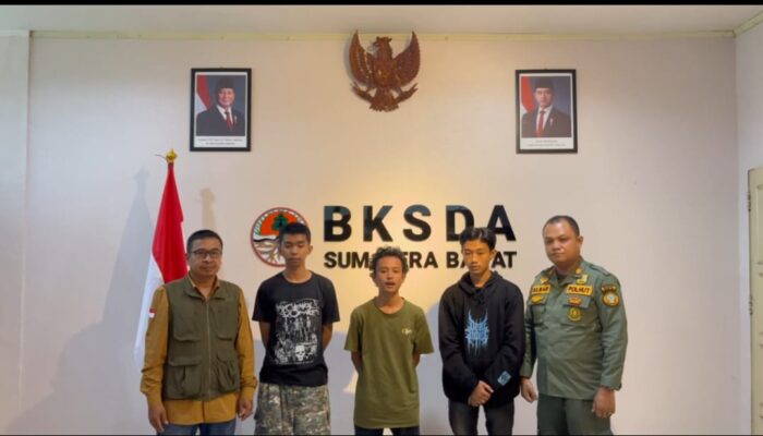 Tiga dari Tujuh Pendaki Ilegal Marapi Penuhi Ultimatum BKSDA Sumbar