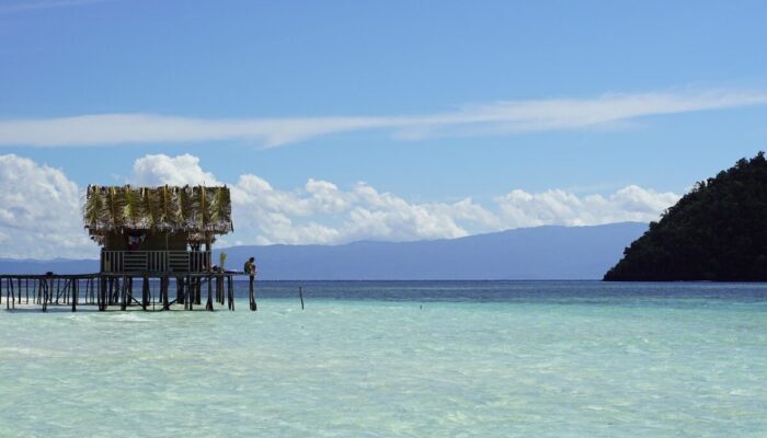 Garuda yang Terpasung
