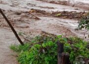 Perkembangan Situasi dan Penanganan Bencana Tanggal 28 Januari 2025