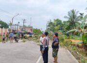 Pohon Pelindung di Jalinsum Sikabau Tumbang, Satu Pengendara Motor Terluka Ringan