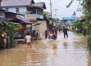 Perkembangan Situasi dan Penanganan Bencana Tanggal 31 Januari 2025