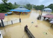 Enam Kabupaten di Kalimantan Barat Terendam Banjir, Kepala BNPB Minta Belajar dari Sintang