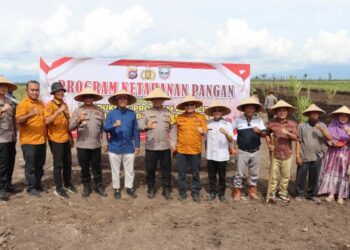 Wujudkan Program Ketahanan Pangan, Polres Pasbar Gelar Penanaman Jagung Bersama Pemda