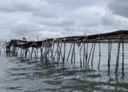 Anggota Komisi XIII, H. Arisal Aziz Dukung Pemerintah Tindak Tegas Pihak Pemasangan Pagar Laut di Sepanjang Perairan Kabupaten Tangerang