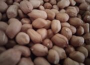 Mitos atau Fakta, Kacang Bisa Menyebabkan Jerawat?