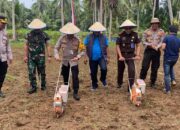 Penanaman Jagung Satu Juta Hektare, Bentuk Nyata Sinergi Pemda, Polri dan TNI