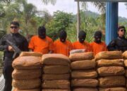 BNNP Sumbar Gagalkan 53 Paket Besar Ganja Kering, Brigjen Pol Riki Yanuarfi: Sumbar Jadi Distributor Narkotika