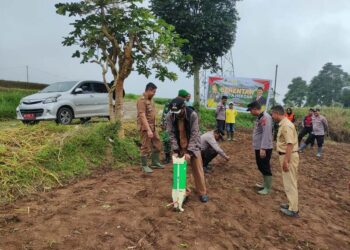 Pemerintah Kecamatan Batipuh