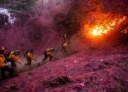 Mengenal Angin Santa Ana, Biang Kerok Kebakaran Hutan di California Selatan