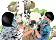 Dinas Pertanian Padang Bidik Retribusi Pelayanan Kesehatan Hewan