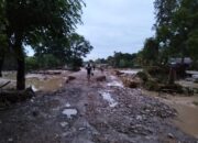 Perkembangan Situasi dan Penanganan Bencana Tanggal 4 Februari 2025