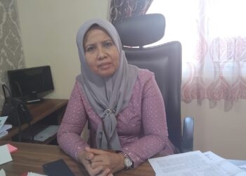 Target Investasi Naik, Dinas Penanaman Modal Kota Pariaman Lirik Proyek Convention Center